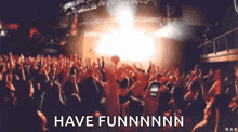 a crowd of people at a concert with the words have funnnnn written on the bottom