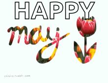 a happy may greeting card with a flower in the middle