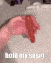 a person is holding a red hot dog with the words hold my sosig written below it