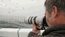 Recording A Flock Of Seabirds Robert E Fuller GIF - Recording A Flock Of Seabirds Robert E Fuller Taking A Picture Of Seabirds GIFs