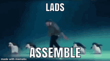 Lads Assemble GIF - Lads Assemble Bvr_gg GIFs