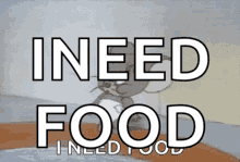 need food