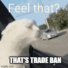 Trove Trade Ban GIF - Trove Trade Ban GIFs