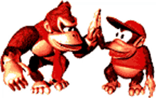 kong expand