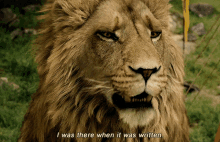 Aslan I Was There When It Was Written GIF - Aslan I Was There When It Was Written The Chronicles Of Narnia GIFs