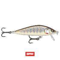 a rapala fishing lure with a hook on it