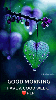 a good morning message with a heart shaped leaf on a branch
