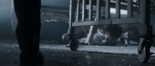 a person is crawling under a wooden crib in a dark room .