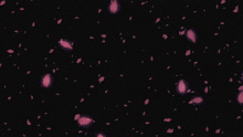 a person 's hand is reaching out towards a cluster of pink petals
