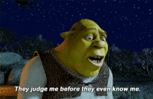 shrek they judge me before they even know me