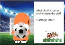 Gnome Soccer GIF