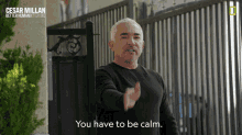 You Have To Be Calm Calm Down GIF - You Have To Be Calm Calm Down Calm GIFs