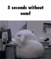 a stuffed rabbit is sitting on a desk in front of a computer and says `` 5 seconds without oomf '' .