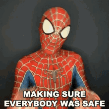 Making Sure Everybody Was Safe Spiderman GIF - Making Sure Everybody Was Safe Spiderman Cameo GIFs