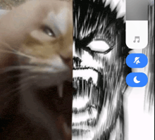 a picture of a cat next to a picture of a man 's face with a music icon