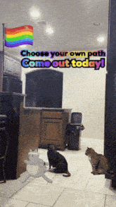 a rainbow flag with the words " choose your own path come out today " on it