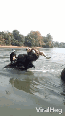 Riding An Elephant Safari GIF - Riding An Elephant Safari Carry Me GIFs