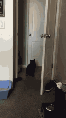 Black Cat Stare GIF