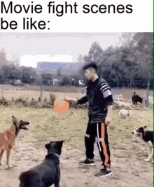 meme dogs dog running fetch frisbee