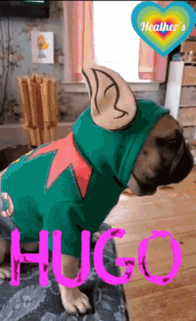 Cute Hugo GIF - Cute Hugo Dog GIFs