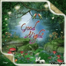 a good night greeting card with a frog , rabbit , and birds in a forest .
