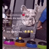 Hell Naw Dog GIF - Hell Naw Dog Meme GIFs