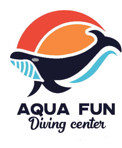 Aquafun Fun Dive Sticker - Aquafun Fun Dive Dive Stickers