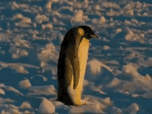 Penguin Trip GIF