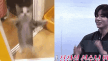 Taehyun Cat GIF - Taehyun Cat Happy Happy Happy GIFs