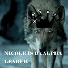 Nicole Alpha GIF - Nicole Alpha Nicole Leader GIFs