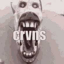 Crvns Fish Crvns GIF - Crvns Fish Crvns Creepy GIFs