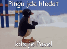Pingu Pavel GIF - Pingu Pavel Hledat GIFs