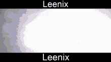 Leenix Gecko GIF - Leenix Gecko Lizard GIFs