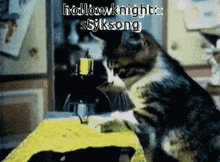 Hollow Knight Styxsong GIF - Hollow Knight Styxsong Cat GIFs