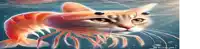 a cat is swimming in the water with a shrimp tail .