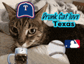 a cat with a texas hat and a baseball