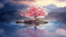 Cherry Blossom GIF - Cherry Blossom GIFs