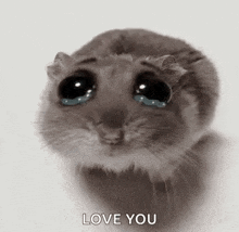a hamster is crying with tears coming out of its eyes and saying `` love you '' .