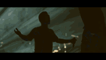 a shadow of a man holding a microphone is cast on a wall