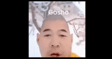 Gosho Misho GIF