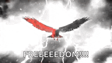 a red and black bird is flying through a storm with the words freeeeedom written below it