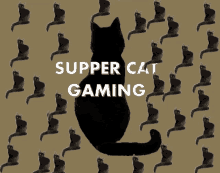 cat kitty supper cat gaming