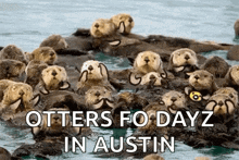 Otters Cute GIF - Otters Cute Wave GIFs