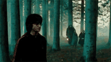 Harry Potter Hagrid GIF - Harry Potter Hagrid Forest GIFs