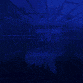 a blue background with the words go go goal in white letters