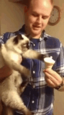 Ice Cream Let Me Have One GIF - Ice Cream Let Me Have One Funny Animals GIFs