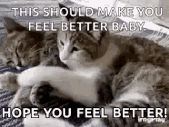 hope you feel better kitten