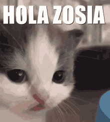 Hola Zosia GIF - Hola Zosia GIFs