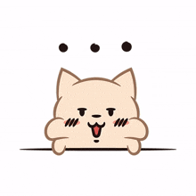 cute lovely pomeranian dog happy