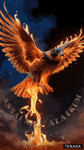 a painting of an eagle surrounded by flames with the words " assalamualaikum " on the bottom